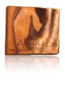 Ahn Psychoanalysis Lab copper plate